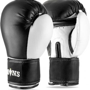 10 oz Boxing Gloves